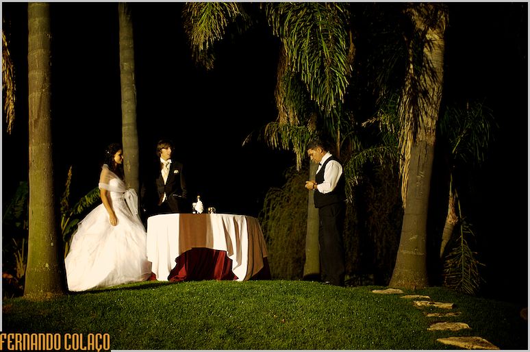 Among the palm trees of Quinta das Riscas, the bride and groom prepared to cut the wedding cake.