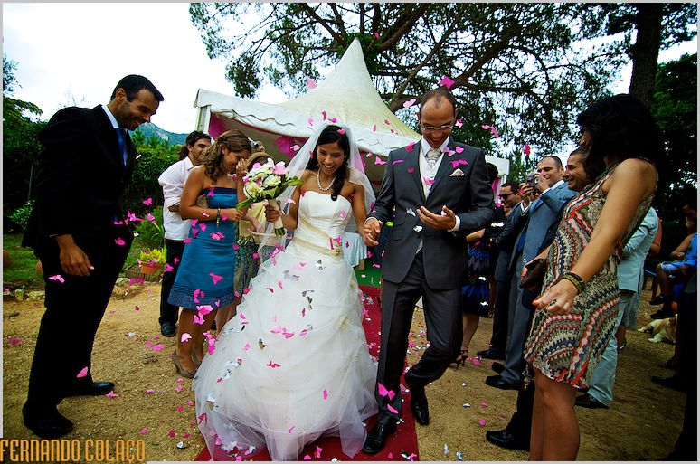 The bride and groom leave the wedding ceremony under flower petals among the guests.