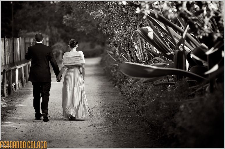 Numa estrada da Quinta do Senhor da Serra em Belas, os noivos passeiam, vistos de costas.