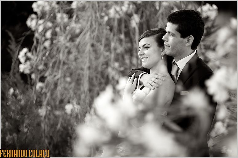 O noivo abraça, por detrás, a noiva, entre os tufos de plantas floridas na Casa de Reguengos.