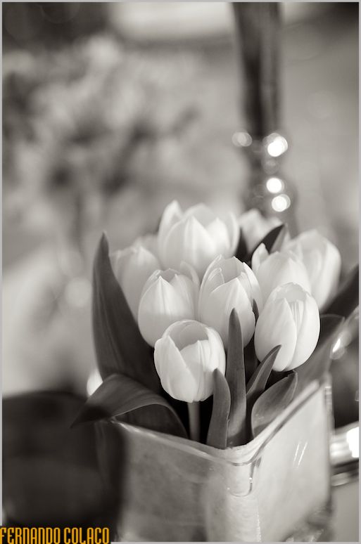 White tulips decorating the table for the wedding ceremony.