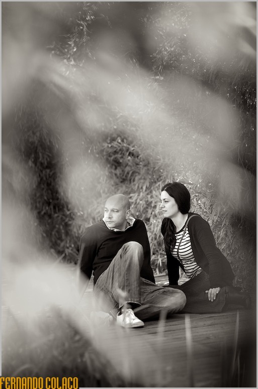 O casal, na sessão de namoro, sentado no chão rodeado pela folhagem das canas de bambu.