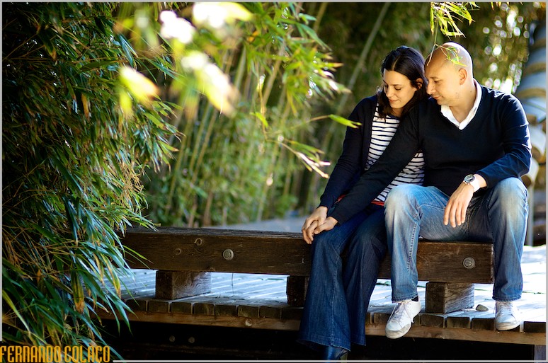Sentados num banco do jardim dos bambus, os noivos de mãos dadas sobre as pernas da noiva.
