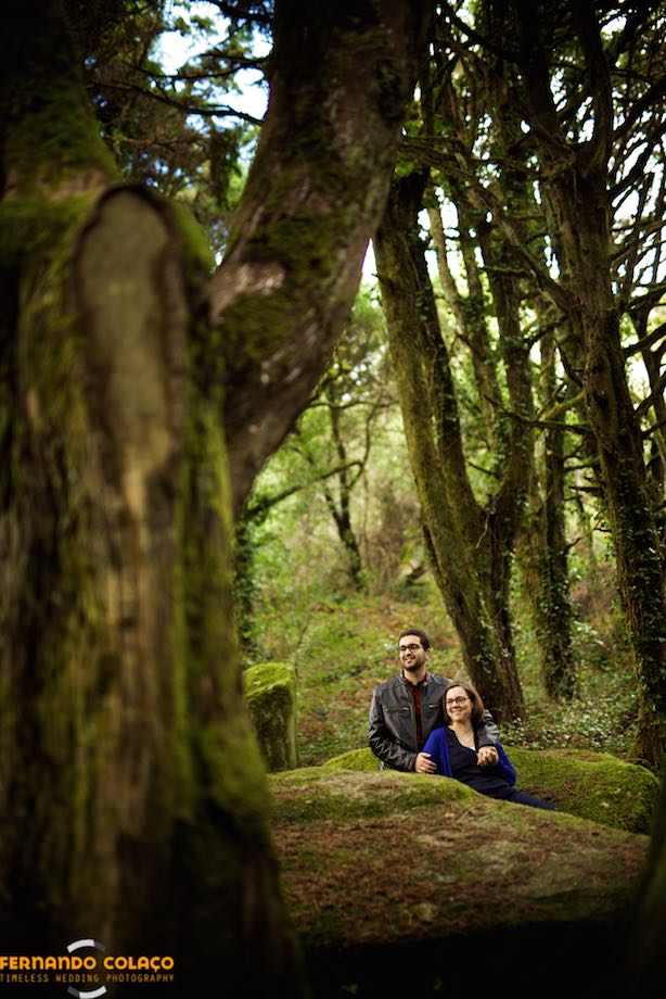 The bride and groom between two large rocks in Peninha in Sintra, with the very old trees of the forest.