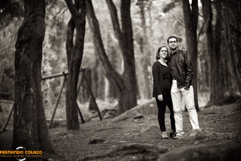 As if they were painted with charcoal, the trees of the Sintra forest serve as a backdrop for the bride and groom who pose for the wedding photographer.