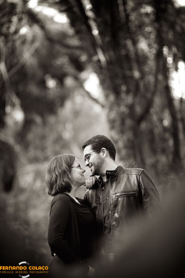 With trees behind, from the Sintra mountains as if they were nebulae of space, the bride and groom, in profile and very close faces, smile at each other.