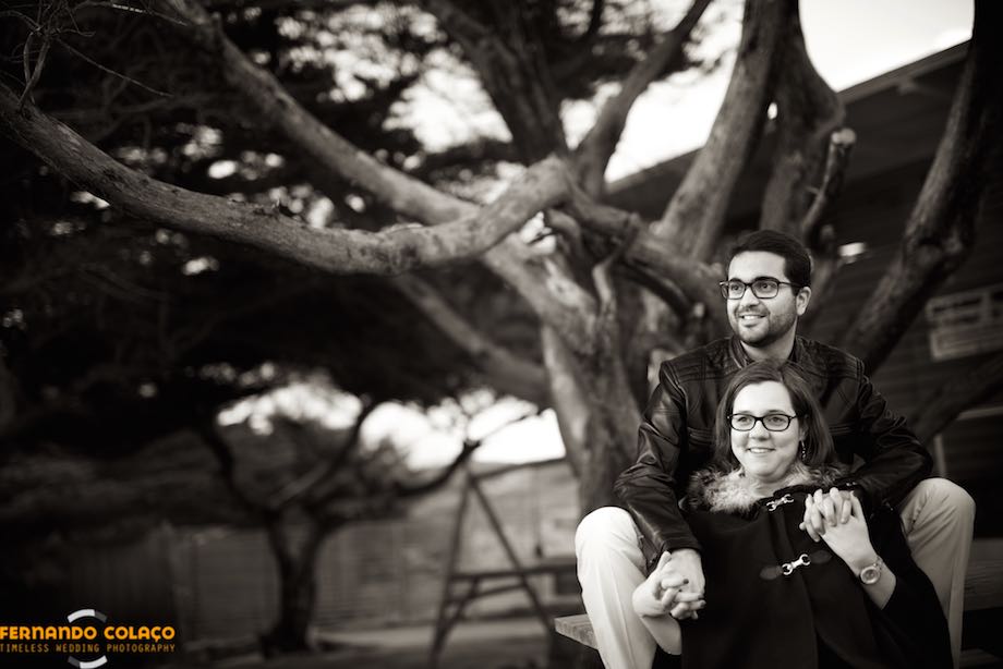 Sitting and nestled between the trunk of a tree, the couple, in a pre-wedding session, hold hands and smile.