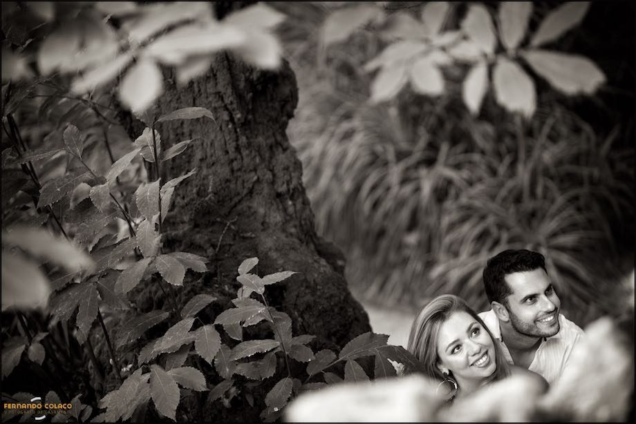O casal junto a árvore muito antiga no jardim da Quinta da Regaleira.