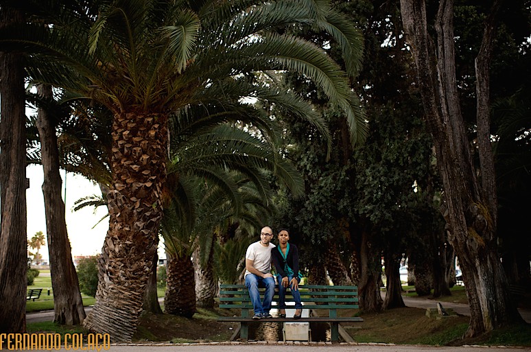 Noivos sentados num banco do jardim com grandes palmeiras em fundo.