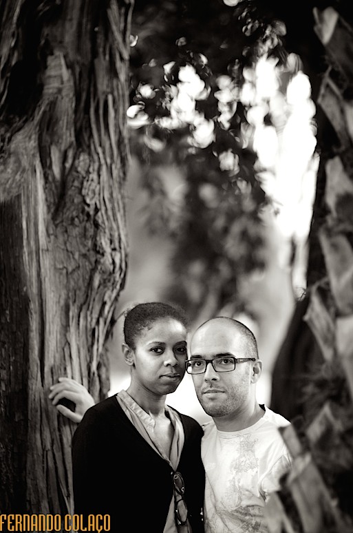 Os dois noivos entre os troncos de duas árvores antigas no Estoril.