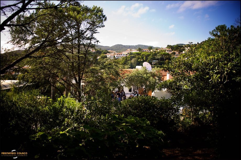 View of the Sintra mountains with the trees of the Morada do Sol garden in Sintra.