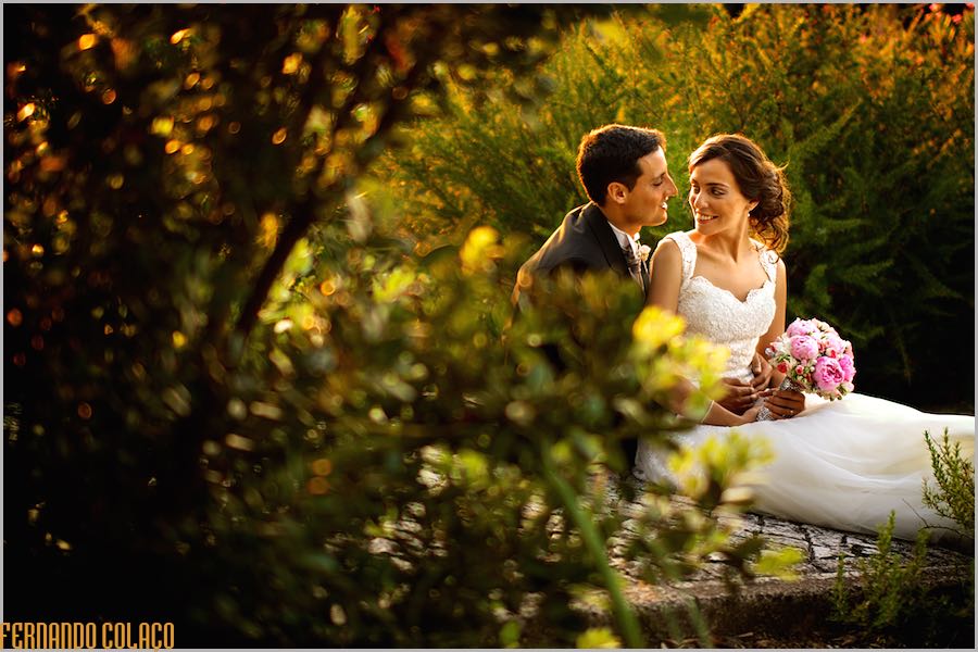 Among the plants in the forest next to Casa de Reguengos, the bride and groom, sitting on the ground, look at each other bathed in the golden light of the evening.