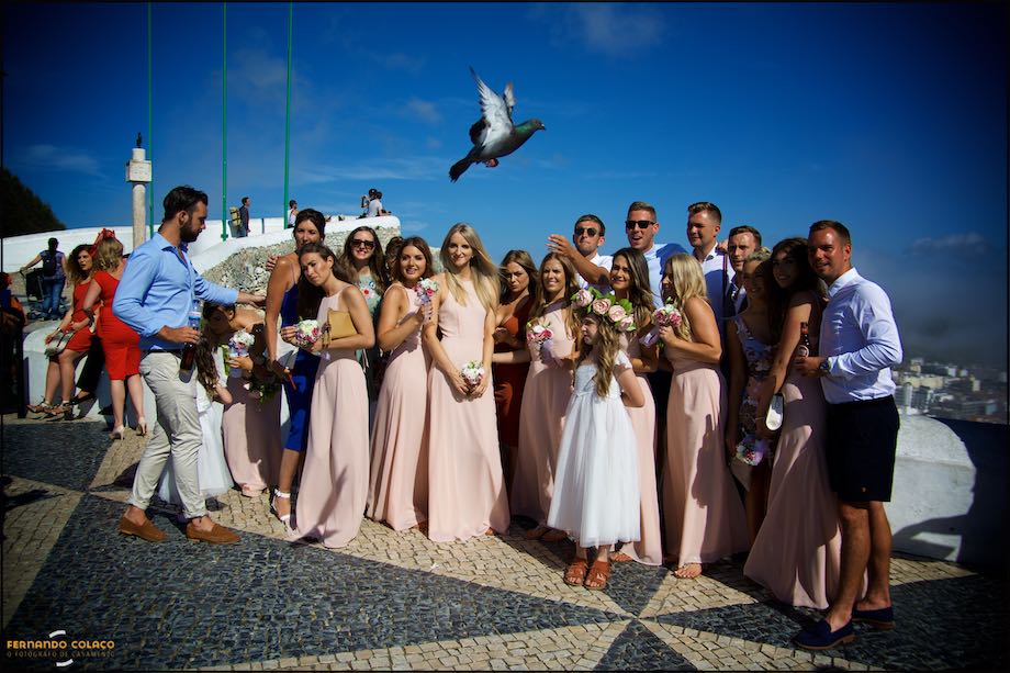 Pomba voando em frente de um grupo de convidados de um casamento a serem fotografados na Nazaré pelo fotógrafo de casamento..