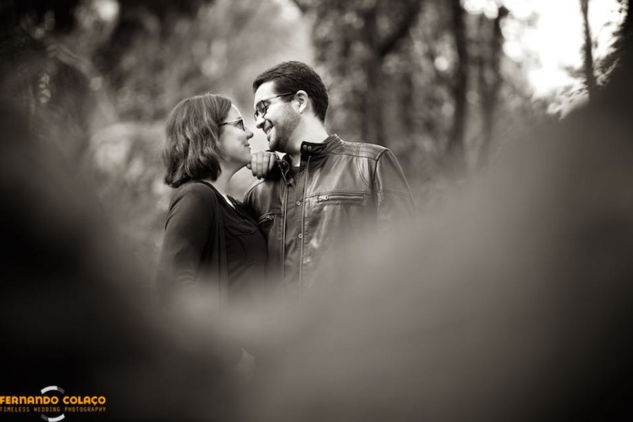 Entre as árvores do bosque da Peninha em Sintra, os noivos, numa sessão de pré-casamento, olham um para o outro de muito perto, sorrindo, pelo fotógrafo de casamento em Sintra.