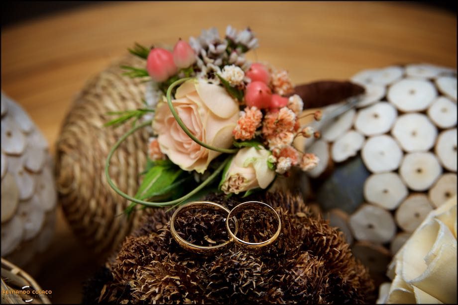 Alianças do casamento sobre flores conforme o fotógrafo de casamento as viu.