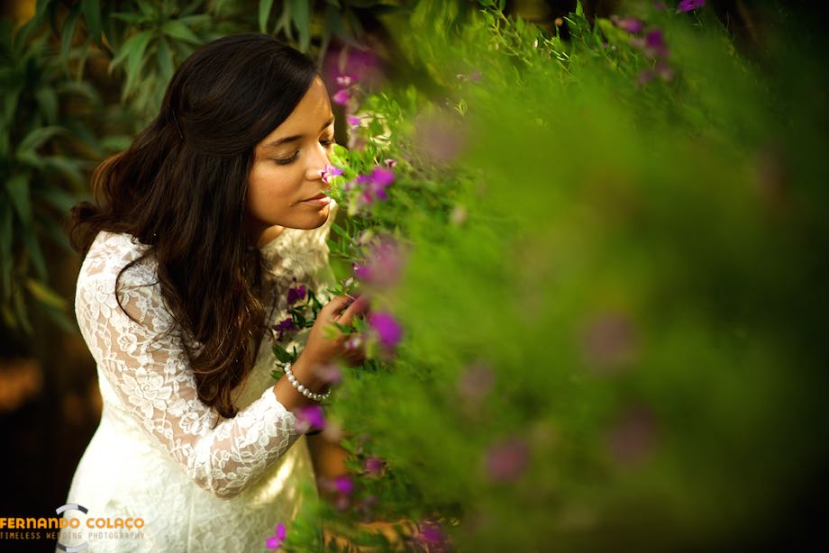 The bride smells the flowers of the garden, in the session with the wedding photographer in Cascais.
