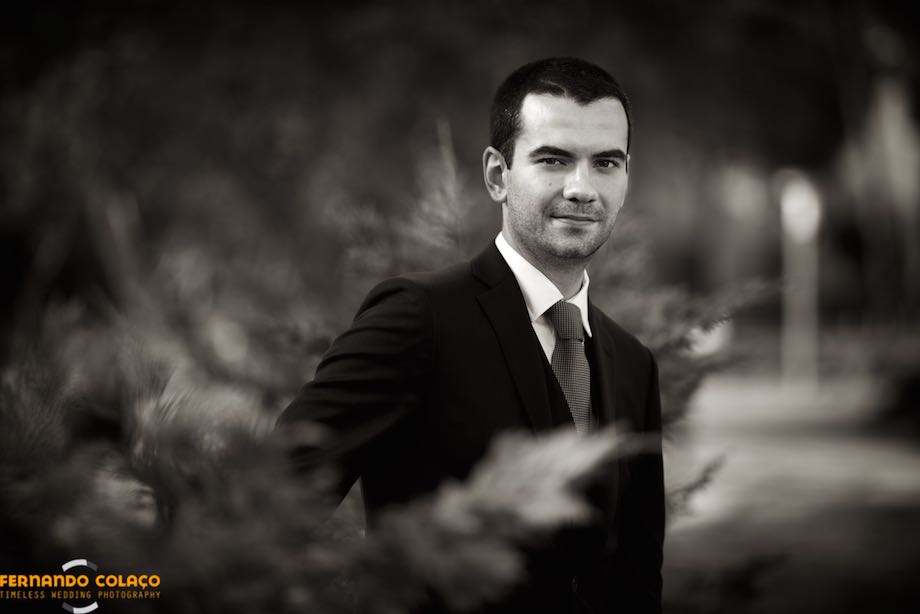 Groom among the plants in the garden.