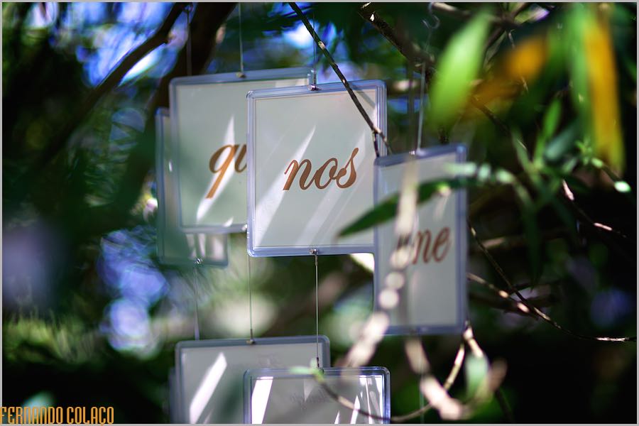 Decorative frames with words hanging from the olive trees.