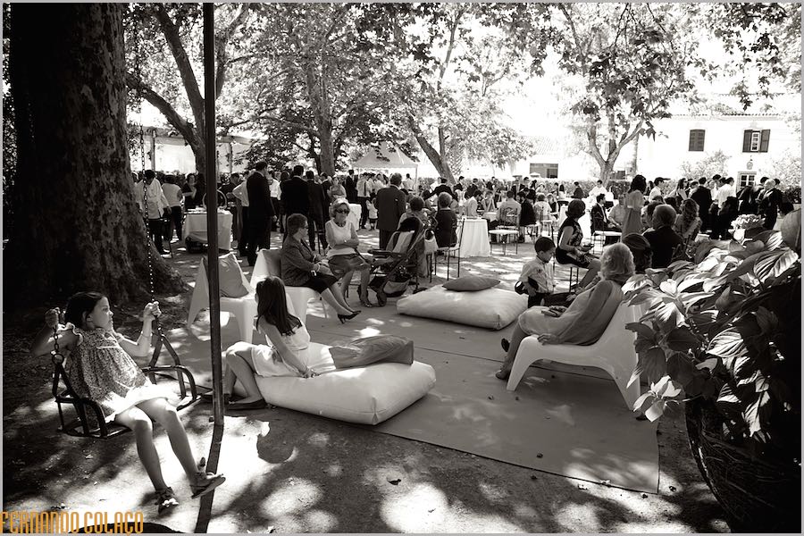 Among the trees at Quinta do Louredo in Évora, the wedding guests coexist, some sitting and others standing.