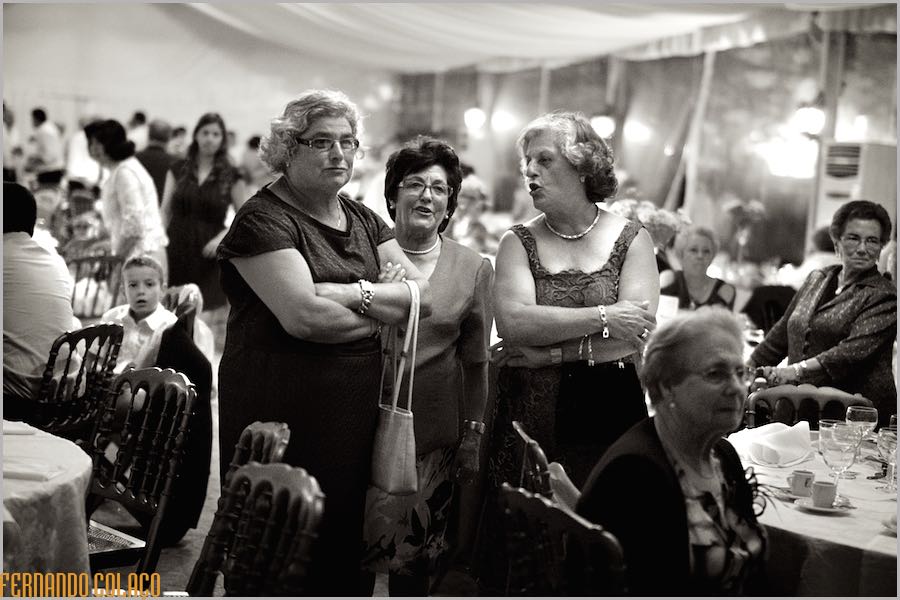 Among the tables with other seated wedding guests, three female friends, standing, chatting animatedly, at Quinta do Louredo in Évora.