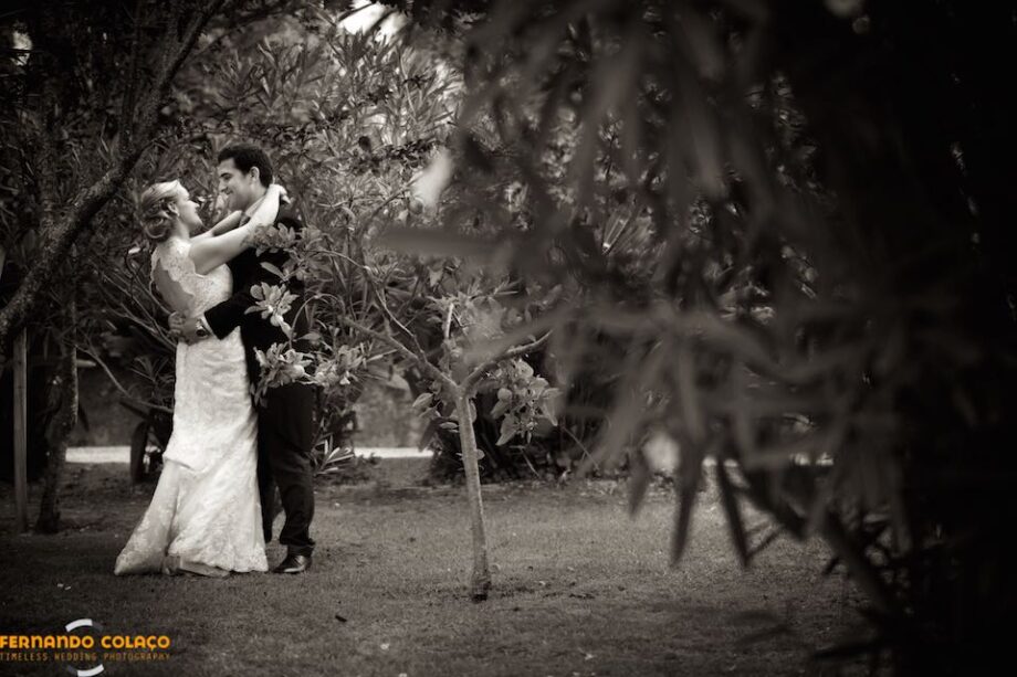 Among the olive trees and oleander trees of Quinta dos Alfinetes, the bride and groom embrace facing each other, in a composition by the wedding photographer in Sintra.