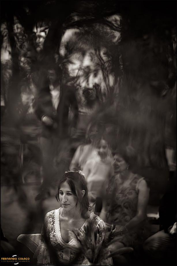 A noiva emoldurada pelos ramos desfocados de uma oliveira assim que terminou a cerimónia do casamento em Lisboa.