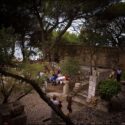 View from above and away from the ceremony site at St. George's castle in Lisbon, through ancient trees and walls, seen by the wedding photographer in Lisbon.