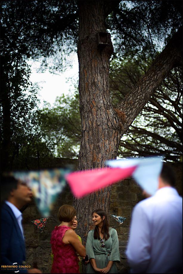 Next to a large tree and among the flags decorating the ceremony site, family members of the bride and groom chat, captured by the wedding photographer in Lisbon.